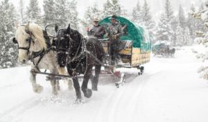 Sleigh Rides and Cowboy Cookouts in Big Sky
