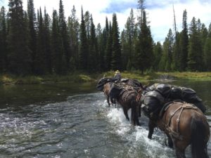 Cache Creek Horseback Trips outside of Bozeman, Montana