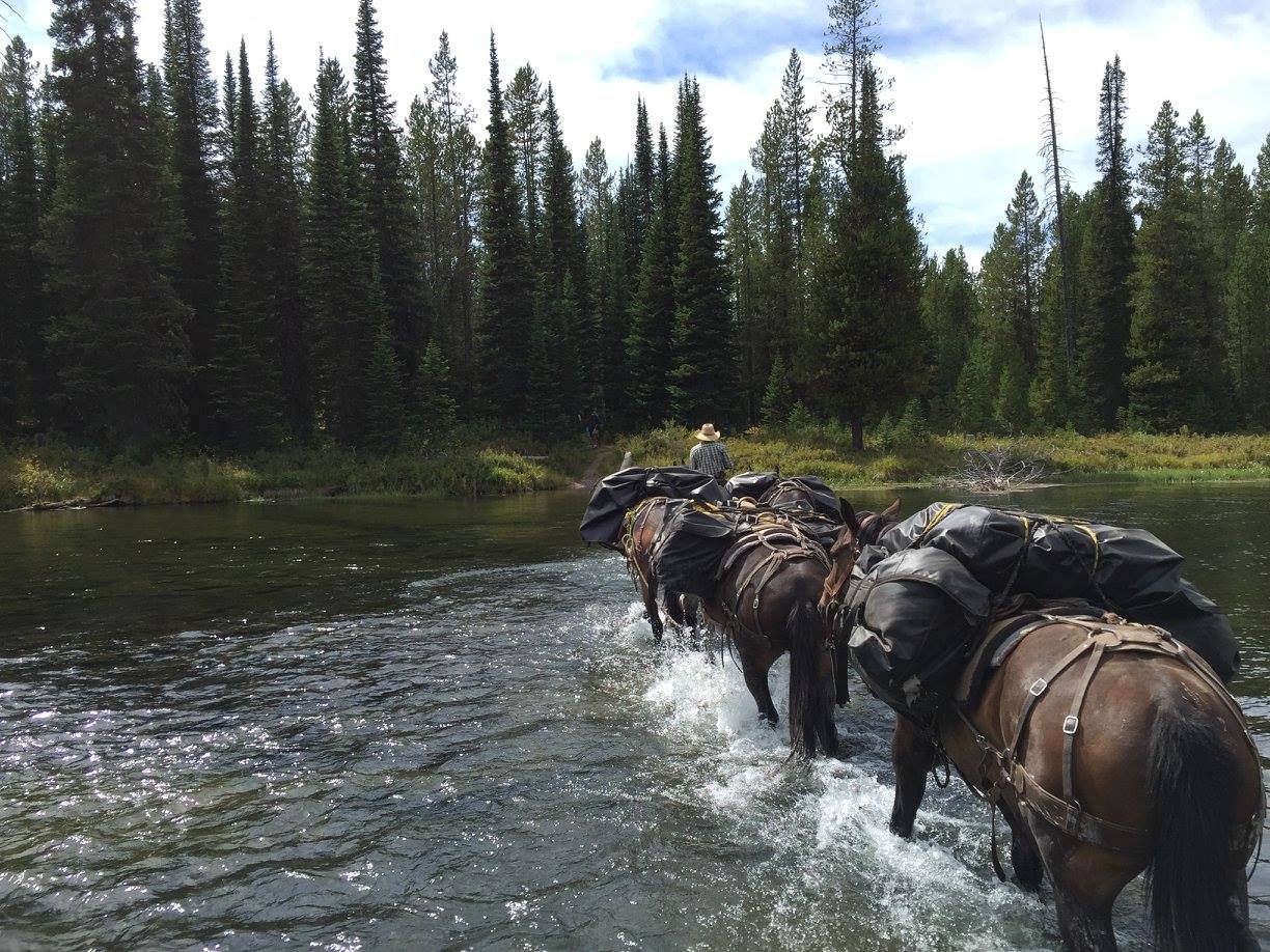 Cache Creek Horseback Trips outside of Bozeman, Montana - Cache Creek ...