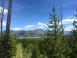 Cache Creek Outfitters in Montana